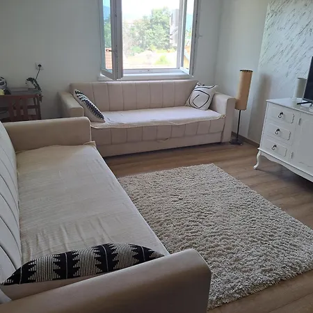 Mibor Apartment Vrnjacka Banja