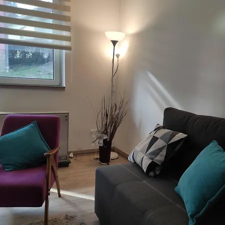 Mibor アパート Vrnjačka Banja