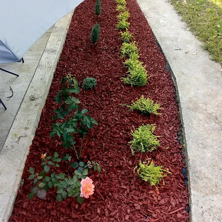 Mibor * Vrnjačka Banja