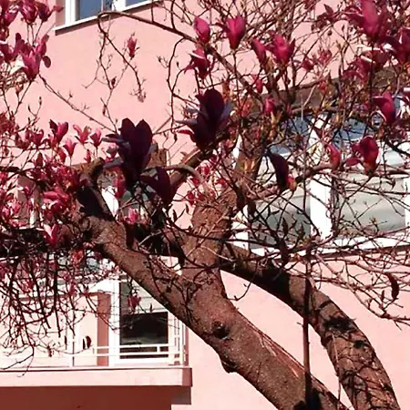Mibor Apartment