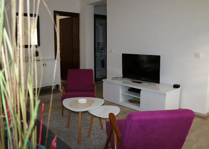 Mibor * Vrnjačka Banja